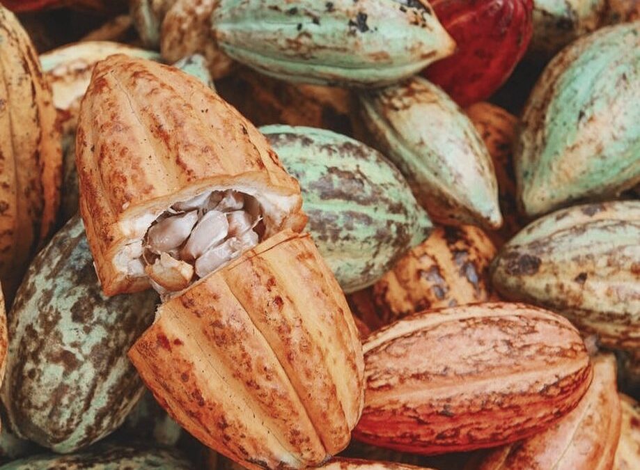 Die gesundheitlichen Vorteile von Zeremoniellen Kakao